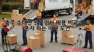 충주 소태면 원룸이사 비용 비교 꿀팁🍯 & 혼자 하는 이사 도전?!