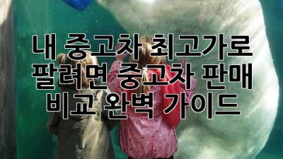 내 중고차, 최고가로 팔려면? 중고차 판매 비교 완벽 가이드!
